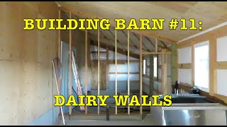 Building Dairy Barn 11 Ceiling Walls Moving in Milk Tank [upl. by Sev]