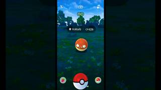 I Caught Hisuian Voltorb in Pokemon GO Indonesia Shorts Voltorb PokemonGOGameplay [upl. by Holey]