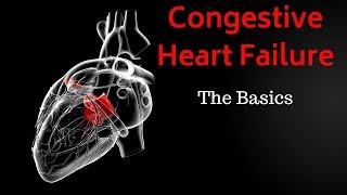 Congestive Heart Failure CHF  Basics Overview [upl. by Huggins]