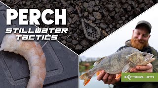 Still water Perch tactics  White Springs Fishery [upl. by Anitsirhc]