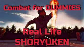 Real Life SHORYUKEN  Combat for Dummies [upl. by Obbard]