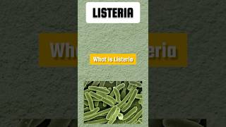 What is Listeria Bacteria Symptoms listeria outbreak [upl. by Dalt]