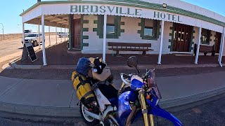 2024Simpson115  The End  Back to Birdsville [upl. by Dahsar699]