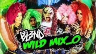 WILD MIX  DJ BL3ND [upl. by Welcy933]