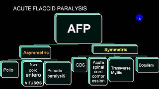 ACUTE FLACCID PARALYSIS 4TH YR [upl. by Per996]