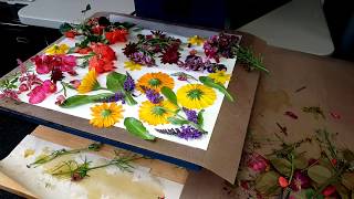 Using a Heat Press to Steam Dye Paper with Flowers  Eco Printing  Steam Dying [upl. by Martel]