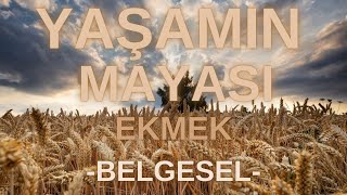 YAŞAMIN MAYASI Ekmek BELGESEL [upl. by Latsyrc]