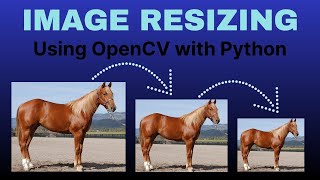 Image Resizing Using OpenCV  Python  Image Processing [upl. by Lani886]