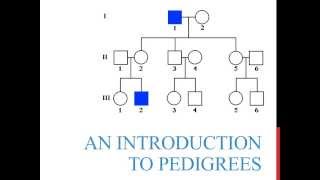 An introduction to genetics pedigrees [upl. by Leziar859]