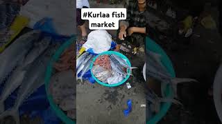 Kurla fish marketkurlafishmarketviral [upl. by Yelsek]