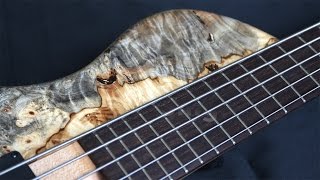 Elrick Evolution Singlecut 5  Buckeye Burl [upl. by Amzu923]