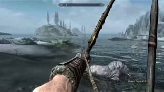 Skyrim  Tir avec toutes les flèches  Gamer Cagouler [upl. by Llib]