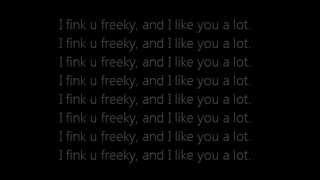 Die Antwoord  I Fink U Freeky Lyrics On Screen [upl. by Ellezig133]