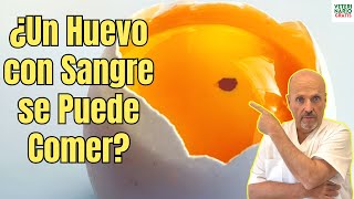 🚨 ¿UN HUEVO CON SANGRE SE PUEDE COMER O TIENE SALMONELLA 🚨 [upl. by Finegan]