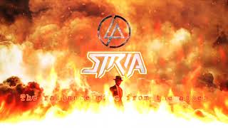 Linkin Park featStriaThe RadianceRise from the asheslinkinpark stria [upl. by Namrac]