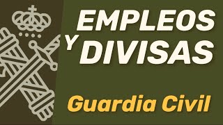 Categorías empleos y divisas de la Guardia Civil [upl. by Hafler32]