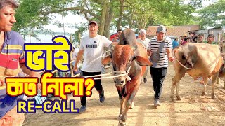 Bhai Koto Nilo Hazratpur Paragram Cattle Market 2024 Qurbani Cow Price In Bangladesh ReCALL8 [upl. by Towill]