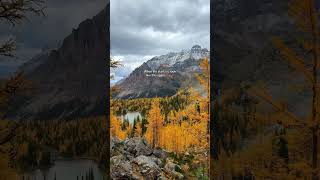 Fall hiking in BC 😍 canadianrockies explorebc hikingadventures adventuretravel canada [upl. by Doubler906]