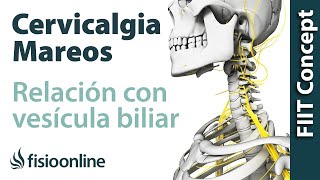 Disfunciones de vesícula biliar y dolor cervical cabeza y mareos  Causas y tratamiento [upl. by Aicilana951]