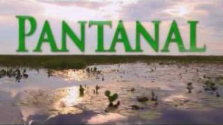 Programa Pantanal WWF Bolivia y Brasil [upl. by Aneerbas]