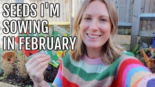 SEEDS IM SOWING IN FEBRUARY 2024  ALLOTMENT GARDENING FOR BEGINNERS [upl. by Enaed]