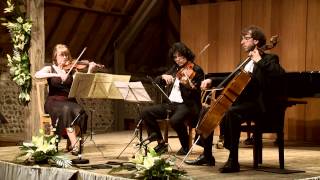 Schubert String Trio in B flat major [upl. by Atnauqal868]