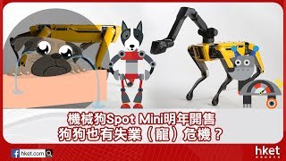 機械狗Spot Mini明年開售 狗狗也有失業（寵）危機？（2018年5月14日） [upl. by Nasus441]