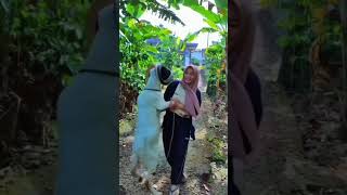 Wkwkwkwk komedi comedy funny lucu dog komedy [upl. by Niai]