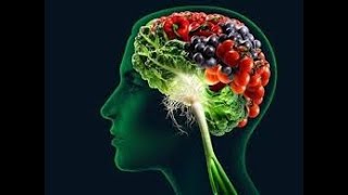 Research From Harvard Reveals Foods Linked to Better Brain power [upl. by Nnylamme]