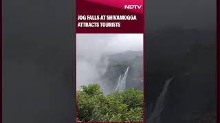 Jog Falls At Shivamogga Attracts Tourists [upl. by Charita]