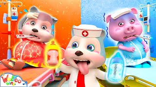 Mommy Got a Hot Or Cold Baby Boo Boo Pregnant Song  Baby Song amp Nursery Rhymes  Wolfoo Kids Songs [upl. by Johppah]