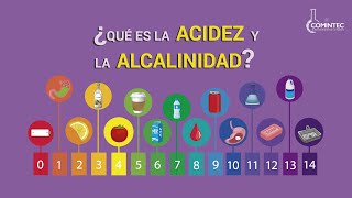 ¿Qué es ACIDEZ y ALCALINIDAD [upl. by Oidiple]