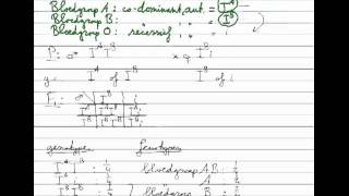 Erfelijkheid  Monohybride kruising codominant [upl. by Bozuwa]