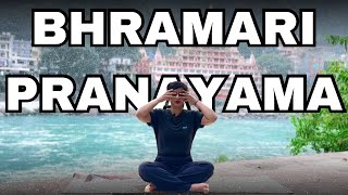 Relaxing breath  Bhramari pranayama  Bumble bee breath to relax the body yoga yogapractise [upl. by Lledrev]