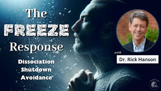 Managing the Freeze Response Dissociation Emotional Shutdown and Creating Safety  Being Well [upl. by Mintz]