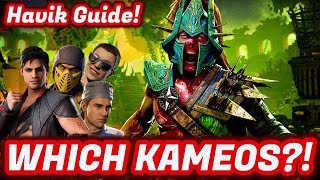 Havik Guide Best Kameos Explained [upl. by Ayela]