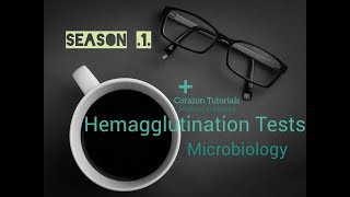 Hemagglutination tests Microbiology  Immunology  Antigen Antibody Reactions [upl. by Euqilegna996]