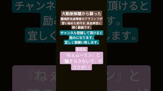 2024年10月24日『ねぇムーミン』と『瞳そらさないで』がコラボ！ [upl. by Sucramat]