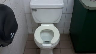 Rare Vitromex Toilet in Canada [upl. by Zippora]