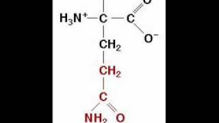 The Amino Acid Song original song [upl. by Letram]