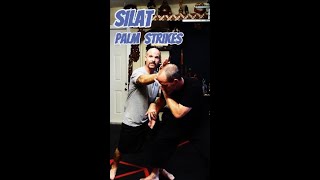 SILAT Palm Strikes vs Straight Punch [upl. by Pirozzo]