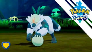 HOW TO GET Passimian in Pokémon Sword version exclusive location [upl. by Ethbin]