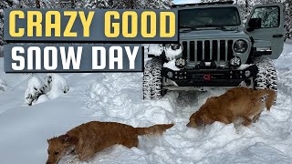 Jeep Snow Day adventure with the dogs Feb 2024 [upl. by Retrak]