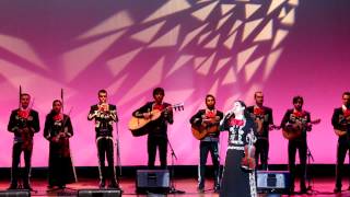 Mariachi Cardenal plays at Kyoto University of Foreign Studies 【京都外国語大学】 [upl. by Rhyne441]