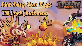 Hatching Sun Eggs Till I Get The New Quahtona Dragon Dragon Adventures Roblox [upl. by Mrots]