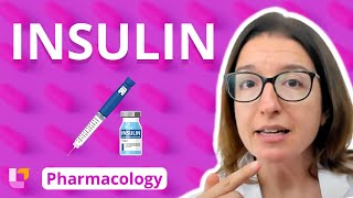 Insulin  Pharmacology  Endocrine System  LevelUpRN [upl. by Hospers]