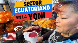 🇪🇨 El SECTOR ECUATORIANO en la calle larga de los LATINOS ❤️🇺🇸 Josué y Elie [upl. by Irfan]