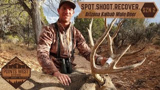 AZ KAIBAB MULE DEER  Stud Buck Down [upl. by Galitea]