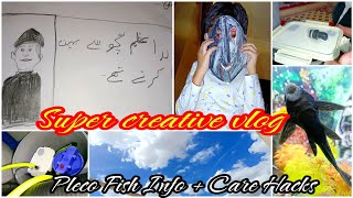 Daily UAE Life Vlog amp Platy Fish Fry Care  Placo Fish Info amp Easy creativity Tips in UrduHindi [upl. by Marijane]