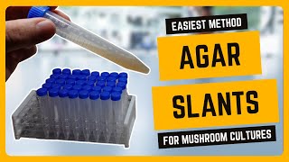 How to Make Agar Slants for Mushroom Cultures EASIEST METHOD [upl. by Shelba]